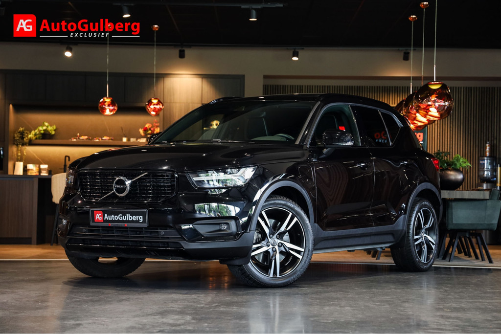 53522069
