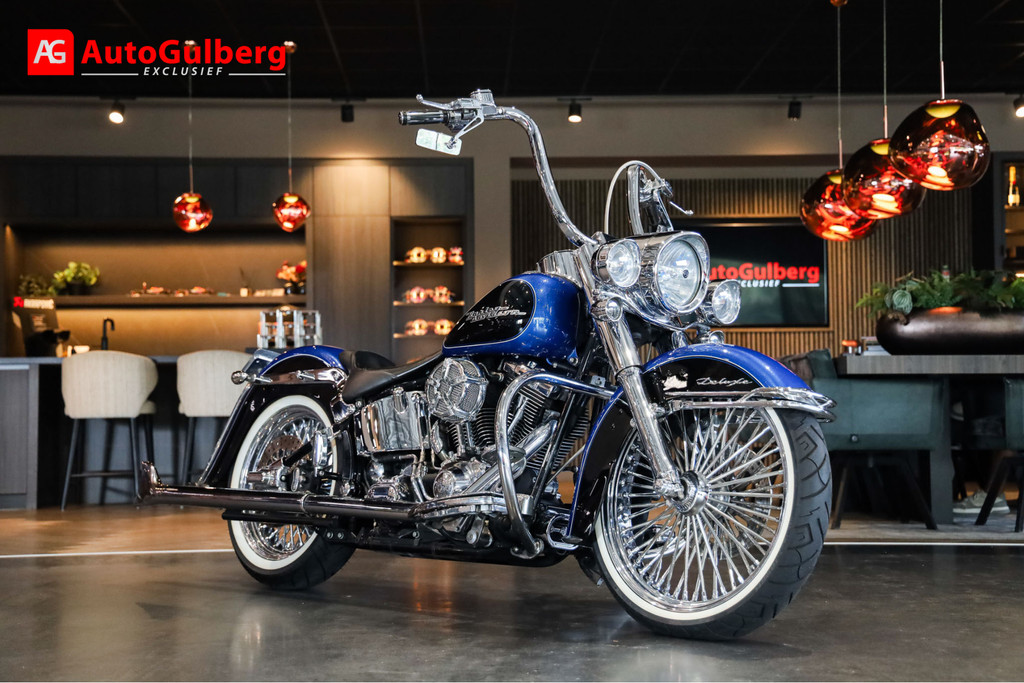 55649336